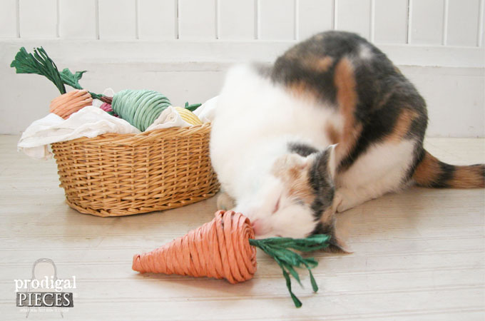 Featured DIY Natural Cat Toys by Prodigal Pieces | www.prodigalpieces.com