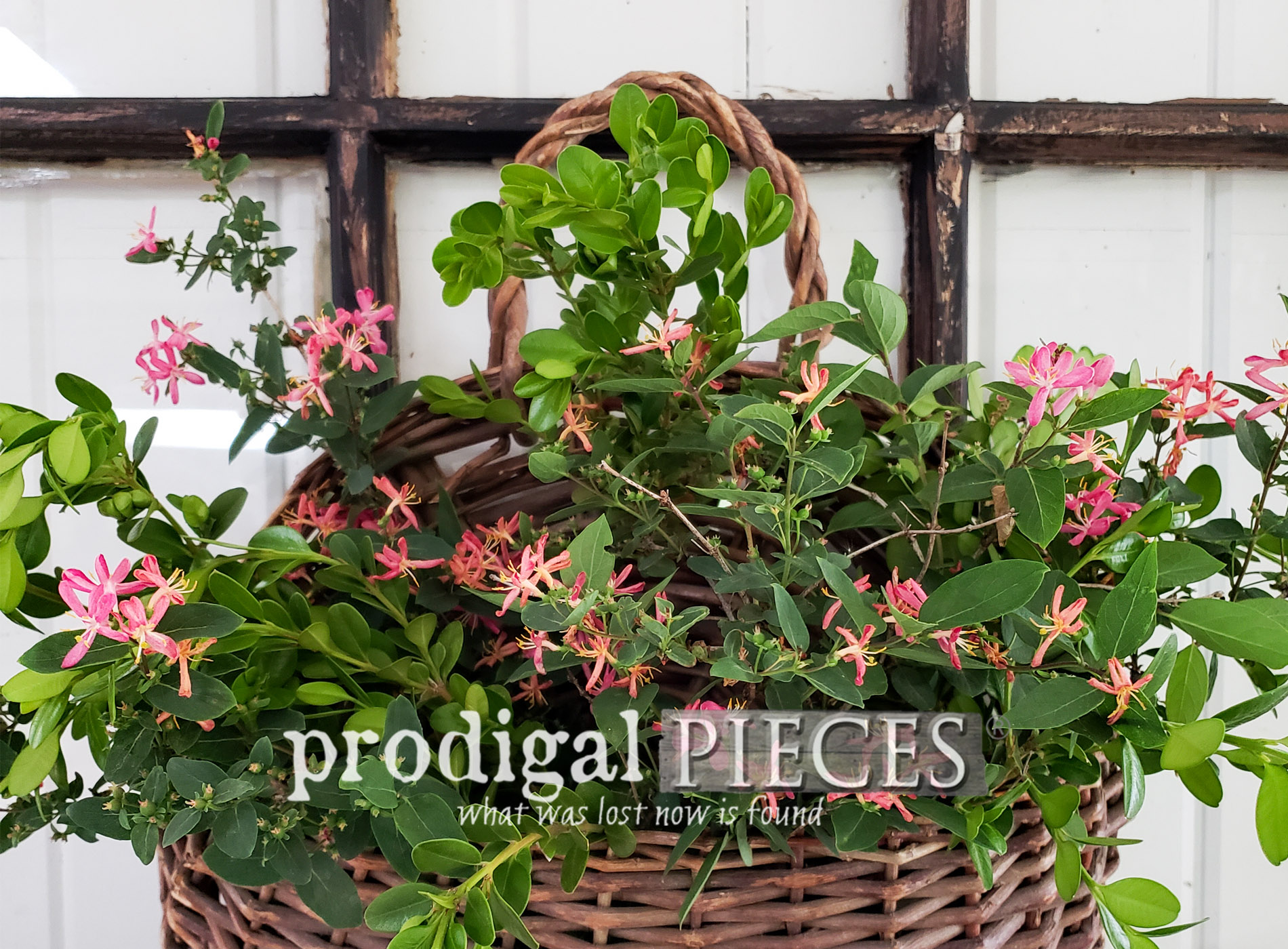 Featured Arched Window Architectural Salvage Decor by Larissa of Prodigal Pieces | prodigalpieces.com