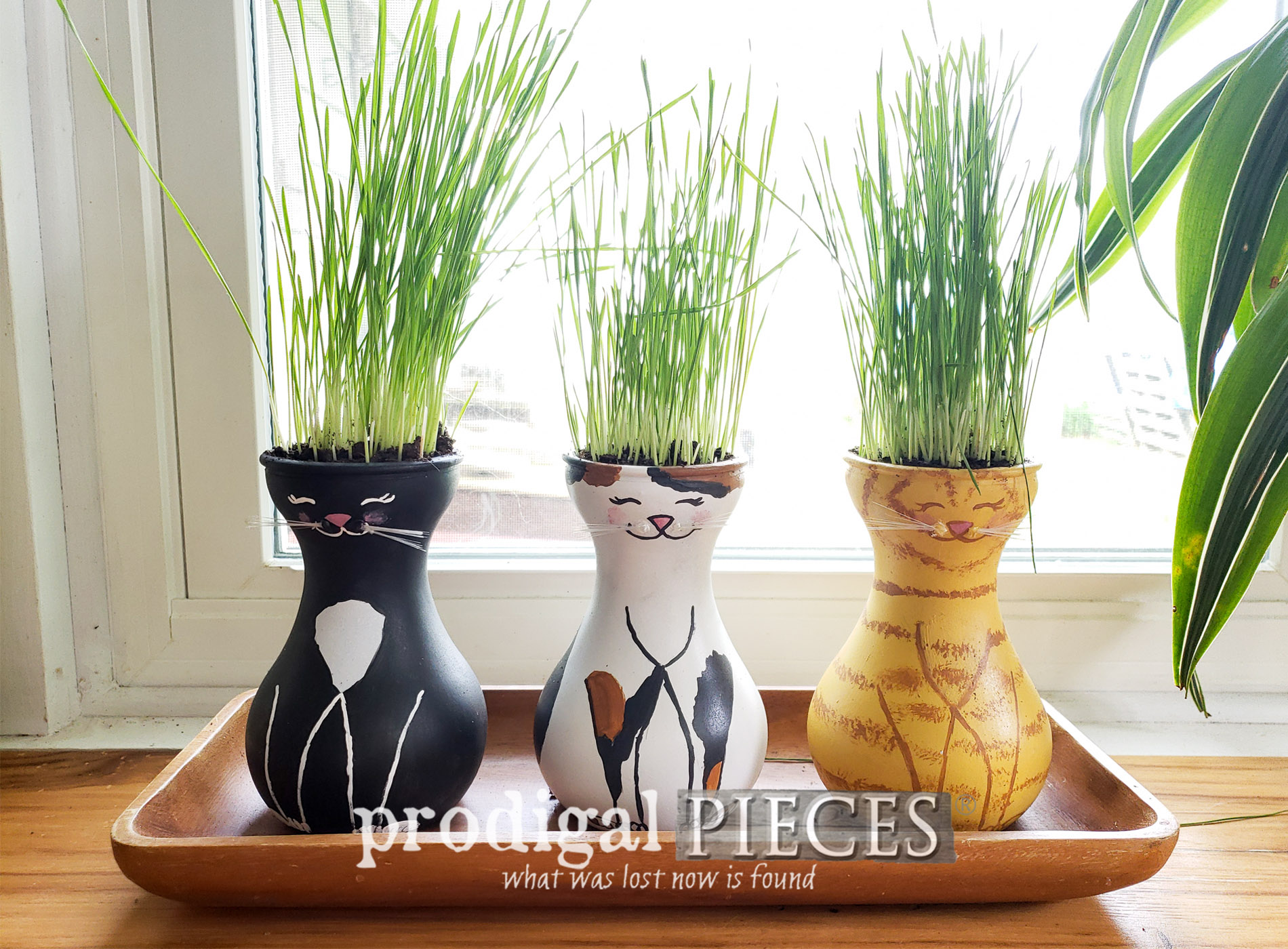 Featured DIY Cat Grass Tutorial for Cats, Dogs, & People Too | Video Tutorial at Prodigal Pieces | prodigalpieces.com #prodigalpieces #diy #home #handmade #pets #cats #dogs #pethealth
