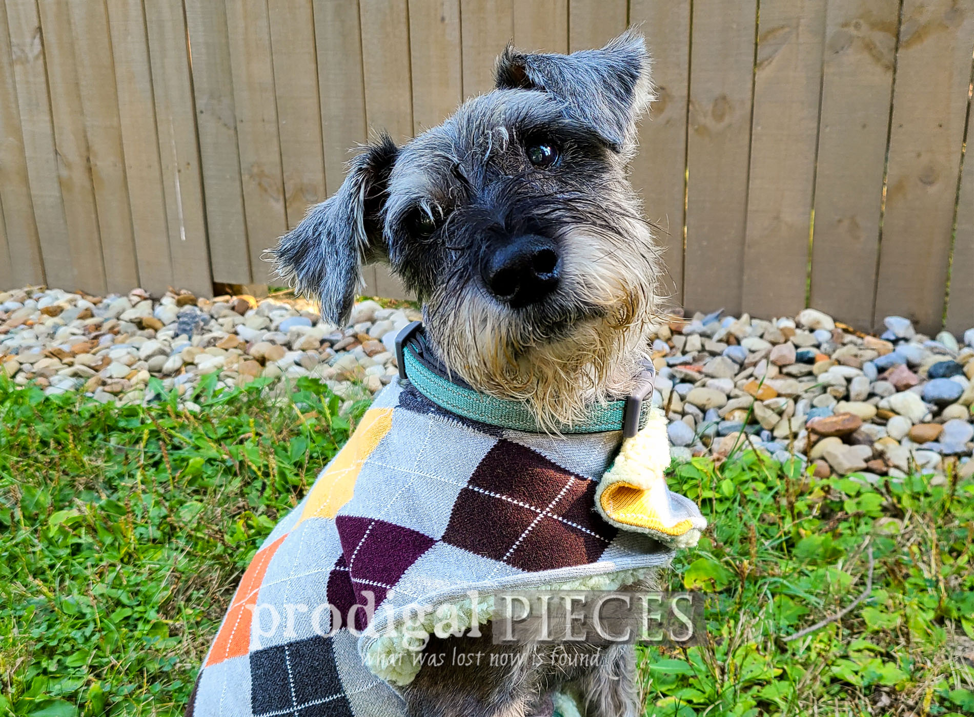 Featured DIY Dog Coat from Upcycled Sweaters by Larissa of Prodigal Pieces | prodigalpieces.com #prodigalpieces #diy #pets #dogs #handmade #sewing