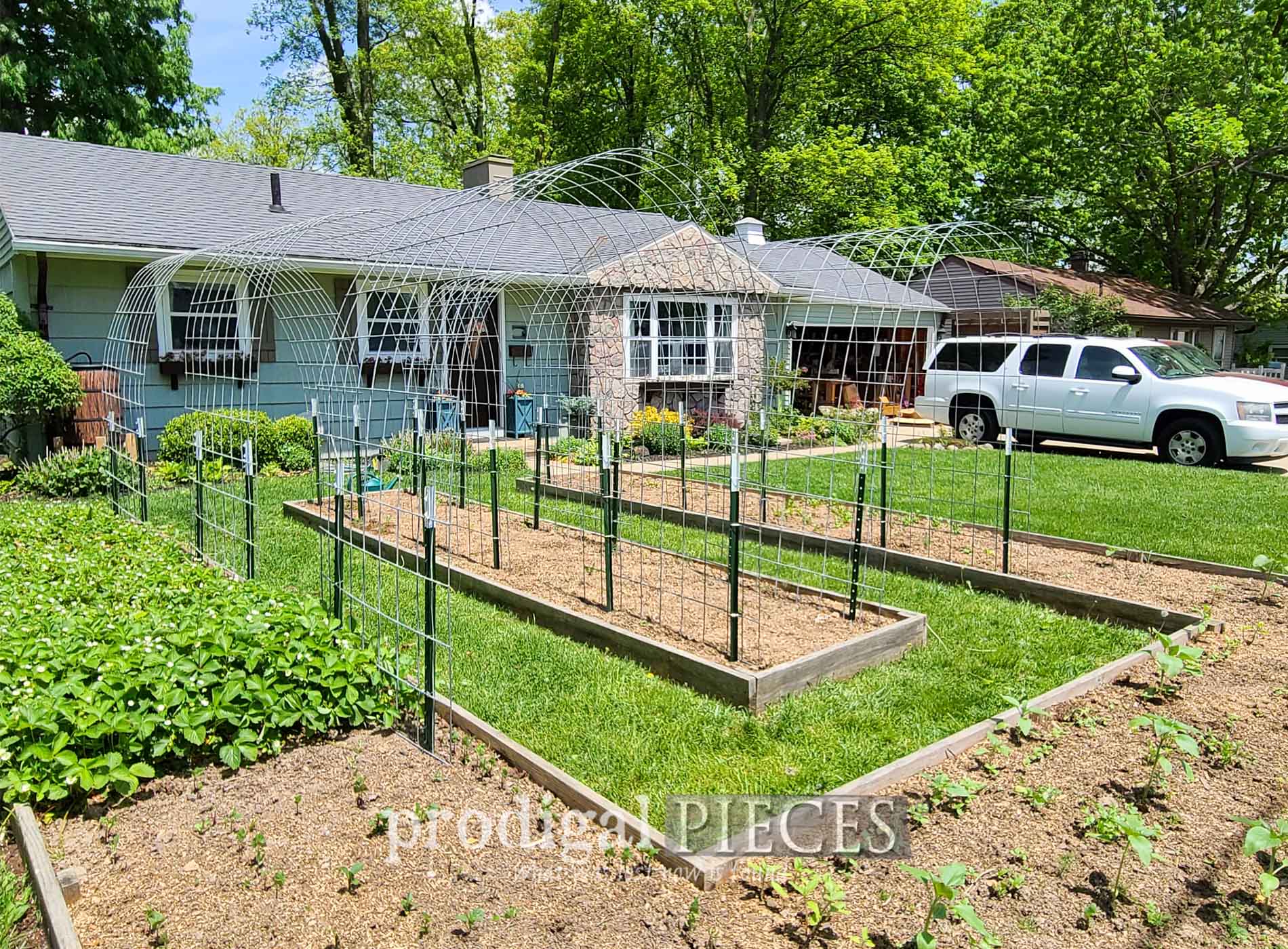 Featured DIY Arched Garden Trellis by Prodigal Pieces | prodigalpieces.com #prodigalpieces #garden #diy #home