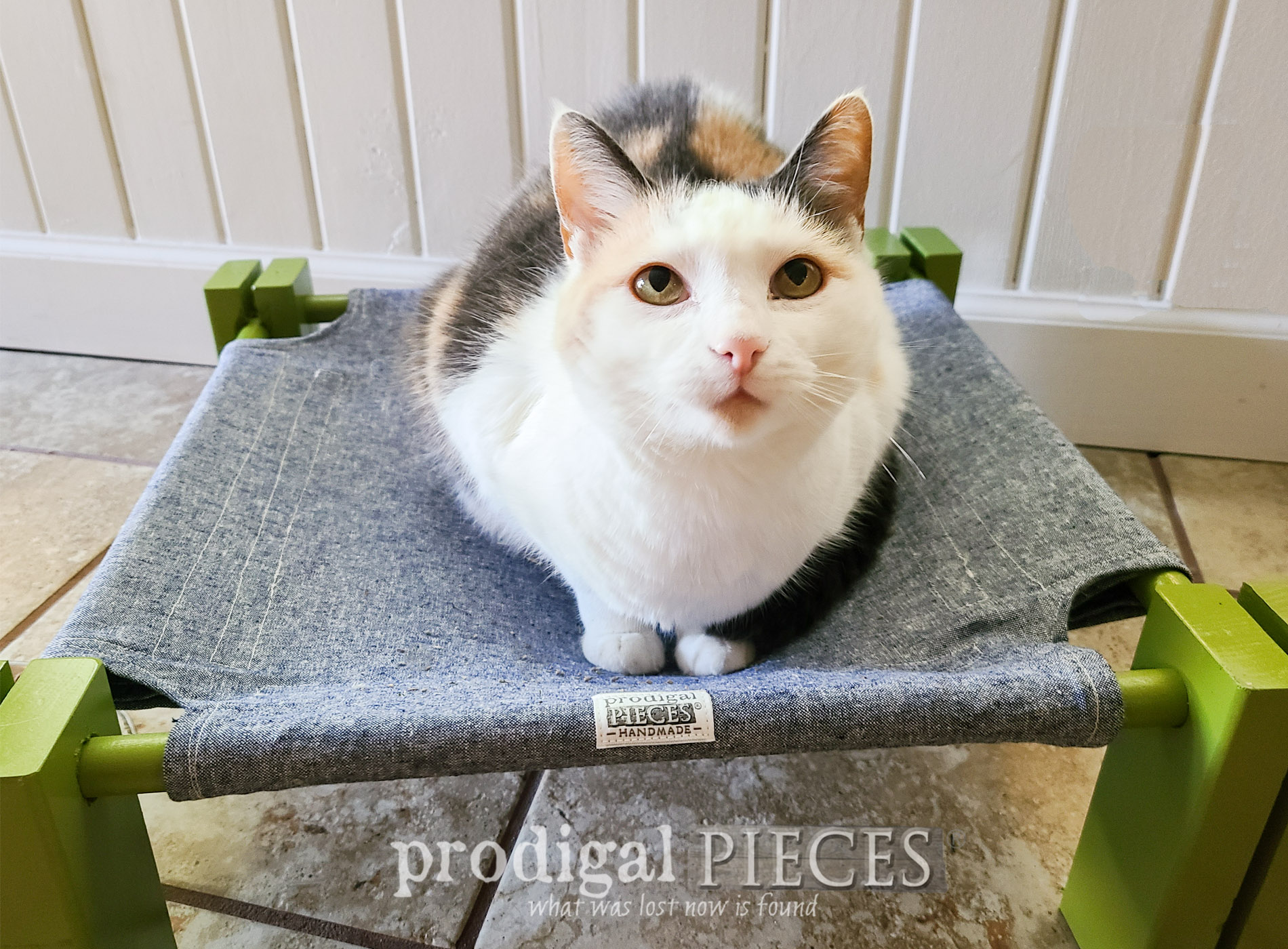 Featured DIY Cat Cot Hammock by Larissa of Prodigal Pieces | prodigalpieces.com #prodigalpieces #cats #cat #pet #dog