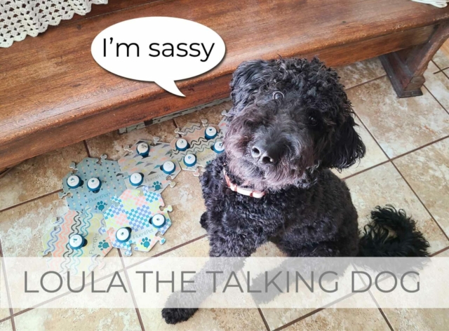 Showcase of Loula the Talking Dog Story by Larissa of Prodigal Pieces | prodigalpieces.com #prodigalpieces
