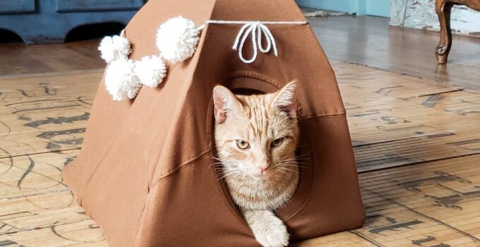 DIY Cat Tent Tutorial